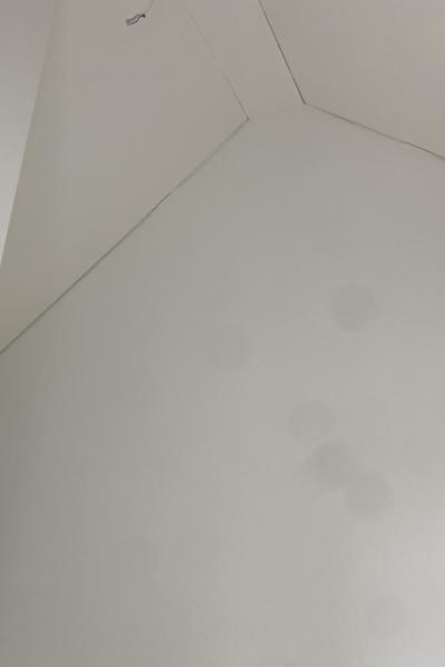 Img 8843