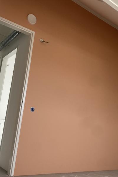 Img 8850